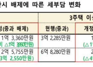 [부동산 돋보기] 다주택자 양도세 걱정된다면? “내년 5월9일까지 면제”