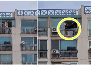 아파트 9층서 '독립 만세' 외치며 가구 투척한 20대 男…도대체 왜?