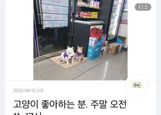 [이슈Pick] "길 고양이? …이젠 동네 편의점 스타냥이라옹~"