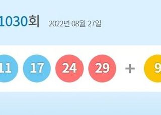 로또1030회당첨번호 '2·5·11·17·24·29'…1등 당첨지역 어디?