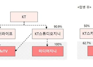 스카이라이프TV-미디어지니 합병…"탑티어 MPP 목표"