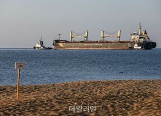 세계식량가격 5개월 연속 하락세…“우크라이나 수출 재개 영향”