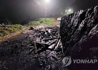 [태풍 힌남노] 제주 '힌남노' 영향에 1695가구 정전…강풍에 복구 난항