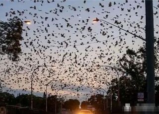 "박쥐 수천 마리 날더니"…중국서 6.8 강진 발생, 최소 46명 사망·16명 실종