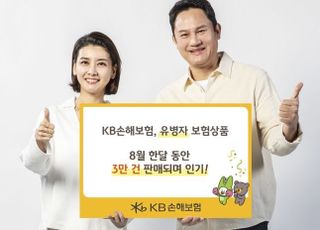 KB손보, 유병자보험 한달 간 3만건 판매