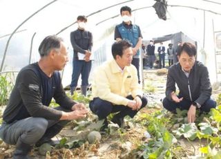 [태풍 힌남노] 농협금융, 피해지역 종합지원 나서