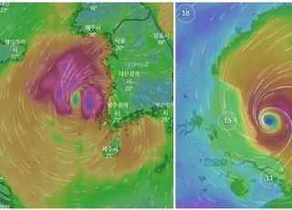 "제12호 태풍 '무이파' 우리나라 오나, 중국 가나?"…엇갈리는 경로 예측 보니