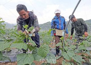 [통계 속 한국③] 불법체류 외국인 40만 명…‘농촌·3D업종’ 핵심 인력