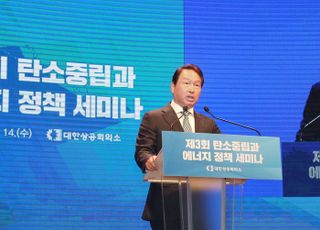 최태원 상의 회장 "탄소중립, 기업이 주도하도록 인센티브 확대해야"