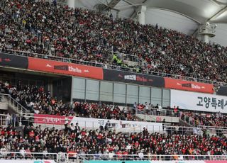 축구 국가대표 응원을 위해 가득 채운 관중들