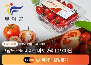 티몬, 태풍 피해 돕기 라방…부여 '토망고·샤인머스캣' 특가 판매