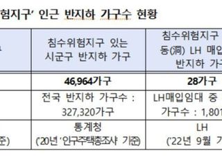 [2022 국감] '침수위험' 인근 반지하 4만6000가구…LH 매입임대 28가구도 위험