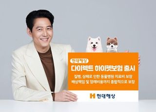 현대해상, 다이렉트 '하이펫보험' 출시