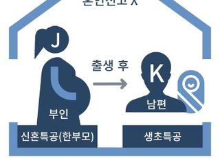 "한 자녀로 두 번의 특공"…국토부, 공급질서 교란행위 무더기 적발