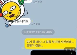 "부기장 알몸 사진, 승무원 단톡방서 유포"…항공사 '시끌'