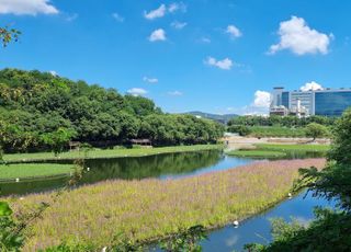 삼성디스플레이, '환경경영' 본격 시동건다