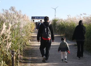 억새꽃 사이로 떠나는 가족 나들이