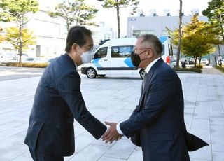 정의선 '왕관의 무게'…현대차그룹, 전기차 생태계 홀로 이끌어야