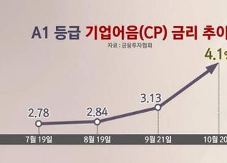 레고랜드 사태, 채권 시장 넘어 ‘국가신인도’까지 흔드나?