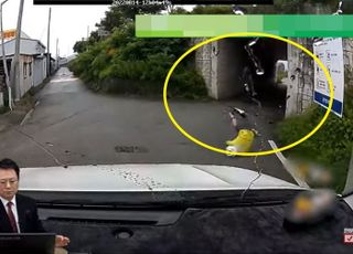 "자동차 보고 놀라 혼자 넘어진 자전거 운전자가 절 고소했습니다"