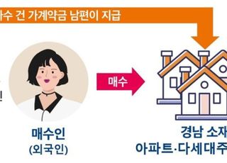 자금 불법반입해 19채 부동산 쇼핑…외국인 부동산 불법행위 567건 적발