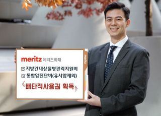 메리츠화재, 지방간 질병 담보 등 배타적사용권 획득