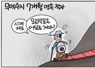 [D-시사만평] '시계제로' 무역수지 7개월째 적자…IMF 외환위기 이후 25년래 ‘최악’