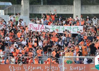 ‘떠나는 이영표·김호곤’ 정치 외풍에 맞선 축구팬들