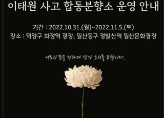 이태원 '사망자-희생자' 명칭 두고 분분…고양시청 SNS엔 '댓글전쟁'