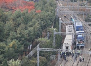 무궁화호, '탈선 사고'...30여 명 경상