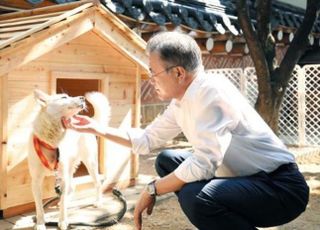 대통령실 "풍산개 반환은 전적으로 문재인 측 판단…우리와 무관"