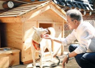 '文 풍산개 파양' 논란 일파만파…與 "이미지에 활용 후 폐기"