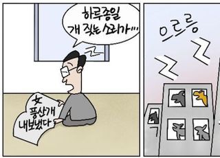 [D-시사만평] 개 짖는 소리 요란…문재인 키우던 풍산개 결국 내보냈다