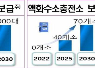 [수소경제 성장전략] 2030년 수소상용차 3만대 보급…청정수소 발전 7.1%까지 확대