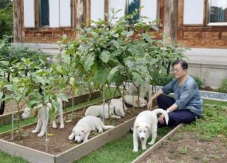 홍준표, 풍산개 논란에..."文, 사룟값 아끼려고 파양 치사하고 좀스럽기도 하고"