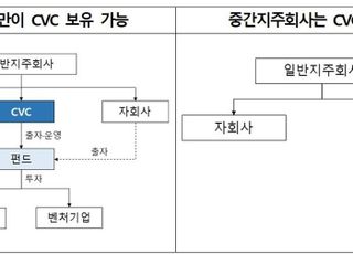 ‘중간지주사 CVC 보유 불가’, 공정위 해석지침 시행