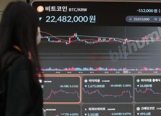 FTX 파산 신청에 가상화폐 폭락