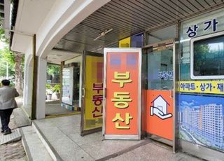 새대한 해산 의결, 중개사協 통합한다…'법정단체' 승격 선결요건 갖춰