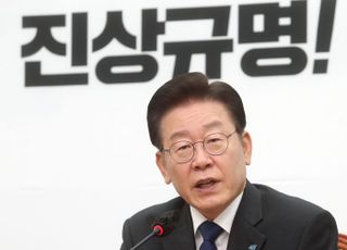 이재명 "檢, 쇼하지 말고 수사하라…내 계좌 털다 닳아 없어질 듯"