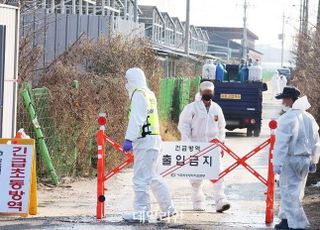 무안·함평 가금농장서 AI 확진…전남 누적 9번째