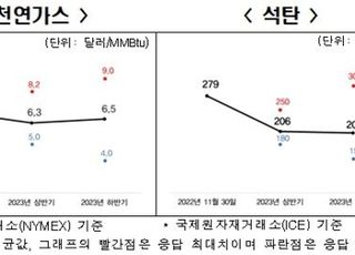 전경련 "내년 상반기 천연가스·석탄 등 주요 원자재價 하락"