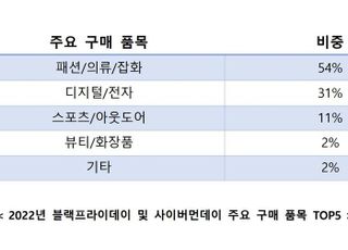 올해 직구 매출 1위는 ‘패션’