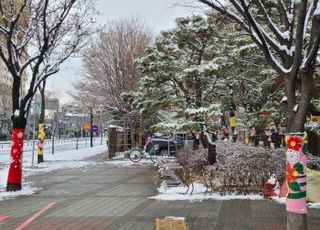 오산 중앙도서관 겨울 나무에 '뜨개옷' 입히기 봉사