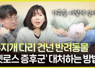 [당안녕㉖] 또 하나의 가족, 반려견과의 이별…‘펫로스 증후군’에 대처하는 방법