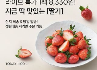 컬리, 제철 딸기 4종 라방…30% 할인