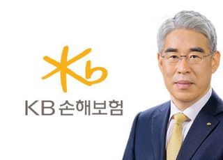 김기환號 KB손보 장기보험 질주…시장 변화 '정면 대응'