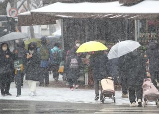 '함박눈이 펑펑' 서울·중부지방 대설주의보