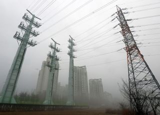 한전 '고압선 주변 3m만 보상' 고집…대법 "기준 잘못돼"