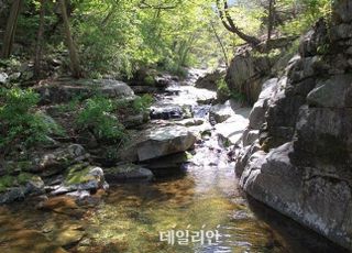 환경부, 대구 팔공산 국립공원 승격 위한 주민설명회 개최