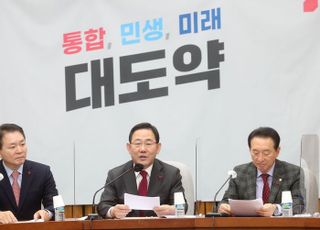 주호영 "중대선거구제도 장·단점...활발하게 선거구제 토론할 것"